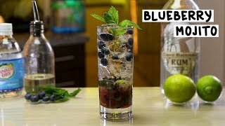 Blueberry Mojito  Tipsy Bartender [upl. by Asilet723]