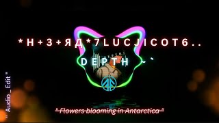 Vyral phonk  quot Н3ЯД7luCJIcOT6   quot Flowers are blooming in Antarctica  ftvisuals3dbeatz [upl. by Bancroft827]