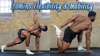 20mins Full Body Flexibility amp Mobility Routine  FOLLOW ALONG [upl. by Zaneta]