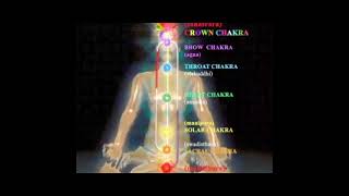 Quick 7 Chakra healing amp cleansing Meditation  21 minutes only  Seed Mantra chanting [upl. by Attiuqaj880]