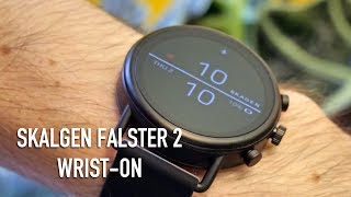 Skagen Falster 2  Wriston Review [upl. by Eustashe]