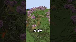 THIS IS A MUST TRY SEED FOR MINECRAFT minecraft bestbrokenseeds mcyt seeds [upl. by Dilly]