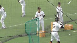 【プロ野球】202421 読売ジャイアンツ 春季キャンプ 『トスバッティング、捕球』 [upl. by Eanod]