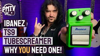 Ibanez TS9 Tubescreamer  The MUST HAVE Overdrive Pedal  Review amp Demo [upl. by Brier]