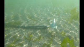 Dinghy Anchor Testing Part 1 Mantus Bruce Danforth Grapnel Mushroom Anchor Test Video 77 [upl. by Mace901]