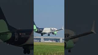 Flair B737 Max8 Arrival shorts [upl. by Anoet]