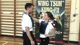 LEUNG TING WING TSUN KUNGFU PROMO [upl. by Thebazile]