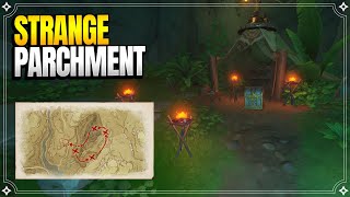 Strange Parchment Treasure  World Quests amp Puzzles 【Genshin Impact】 [upl. by Ellednahs]