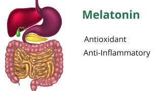 Understanding Melatonin with Dr Carrie Jones [upl. by Olwena]