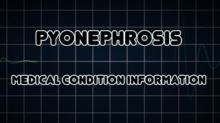 Pyonephrosis Medical Condition [upl. by Alidus176]