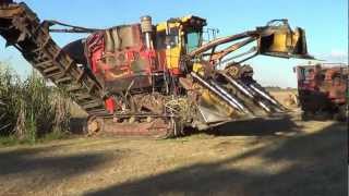 Sugar Cane Harvester in Australia [upl. by Leahpar]