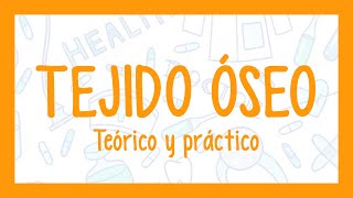 TEJIDO ÓSEO  ¡Fácil explicación Histología [upl. by Refynnej]