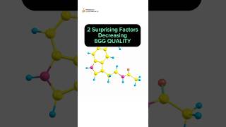 2 COMMON Things🔻 Egg Quality amp Fertility SURPRISING fertility [upl. by Wagshul]