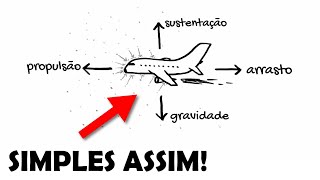 COMO O AVIÃO VOA Explicado em 3 MINUTOS [upl. by Becca226]