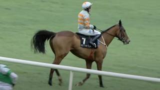 MAUGHREEN set for Cheltenham Festival after hurdles win  Racing TV [upl. by Hildagard646]