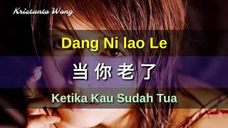 Lei Ting 雷婷  Dang Ni lao Le 当你老了 Ketika Kau Sudah Tua [upl. by Drawe]