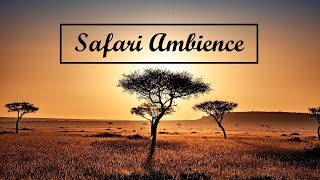 SAFARI AMBIENCE  Background music in the wilderness [upl. by Soilissav]