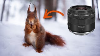 Canon RF 35mm f18  MUSTHAVE lens for nature photographers [upl. by Oca589]