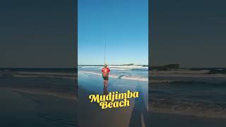 Sunshine Coast Mudjimba Beach [upl. by Redd]