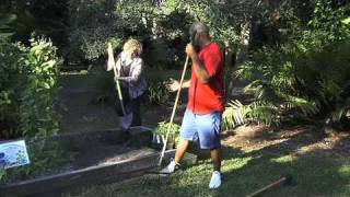 How to Kill Insects in Your Garden with Safer® Brand Organic Pest Control [upl. by Elaine630]