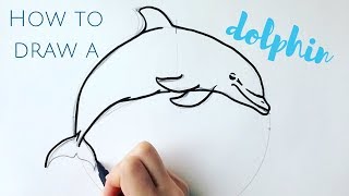 Beginners how to draw a dolphin step by step [upl. by Anawait]