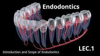 Endodontics Introduction and Scope of Endodontics  حشوات الجذور المحاضرة الاولى [upl. by Ynavoj]