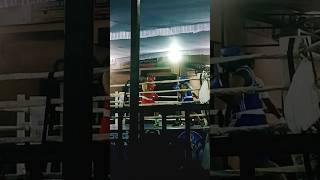 Heavy Weight Boxing KO 🥊 [upl. by Iron]