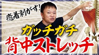 【背中ストレッチ】１回30秒！セルフ筋膜リリースでガチガチ背中から解放！ [upl. by Mendez]