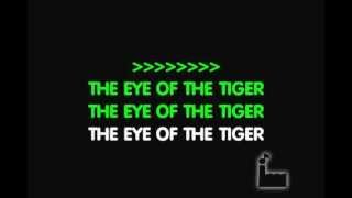 Eye Of The Tiger lyrics [upl. by Neyuq]