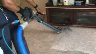 Carpet Steam Cleaning [upl. by Frangos985]