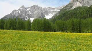 Inno al Trentino [upl. by Levina]