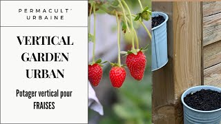 comment faire un potager vertical pour fraisiers une fraiseraie  urban vertical gardening [upl. by Ania]