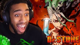 WHO MADE THIS MASTERPIECE  Dr Stone All Openings amp Endings 13 Reaction [upl. by Elleirbag]