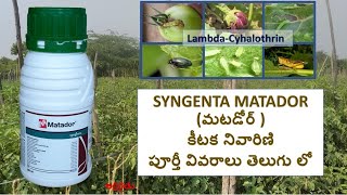 Syngenta MATADOR insecticide మటడోర్ కీటక నివారిణి  in Telugu  Lambda Cyhalothrin [upl. by Lower351]