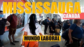 TRABAJOS con mas DEMANDA en CANADÁ  MISSISSAUGA [upl. by Feola]