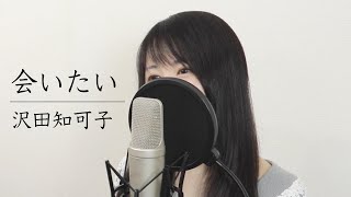 「会いたい」沢田知可子【歌詞付き】（Covered by Macro Stereo amp Elmon） [upl. by Ztnaj899]