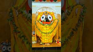 Jay Jagannath 🙏 Shorts l Gouranga Nayak Odia Vlogs [upl. by Omland]