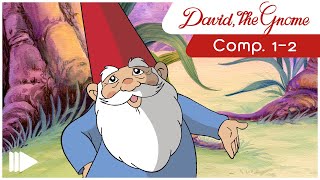 David the Gnome  12  Full Episodes  Compilations [upl. by Solhcin965]