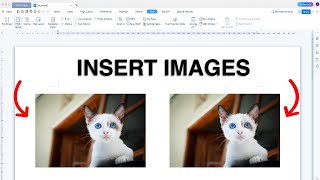 How to Insert Image in LibreOffice Writer 2025 [upl. by Schellens816]