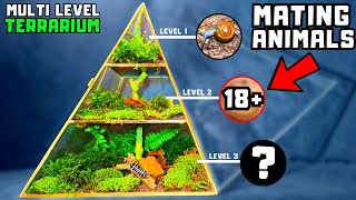 I made a multi level terrarium with 3 different animal species [upl. by Lamrej]