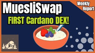 Full walkthrough of MuesliSwap  1st Cardano DEX [upl. by Panchito40]