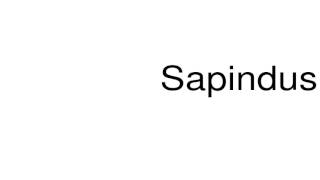 How to pronounce Sapindus [upl. by Leunamme603]