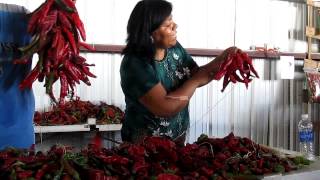 Making Chile Ristras [upl. by Edrahs]