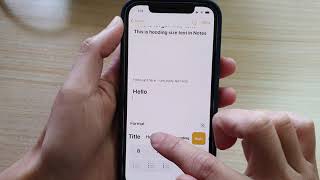 iPhone 12 How to IncreaseDecrease the Text Size amp Format in the Notes App [upl. by Becki]