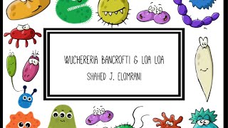 Wuchereria Bancrofti amp Loa Loa [upl. by Earla195]