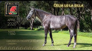 CELIA LS LA SILLA [upl. by Rehteh667]