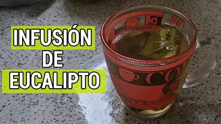 INFUSIÓN DE EUCALIPTO COMO SE PREPARA CORRECTAMENTE [upl. by Heath320]