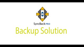 Configure syncback pro 2020 backup [upl. by Beryl]