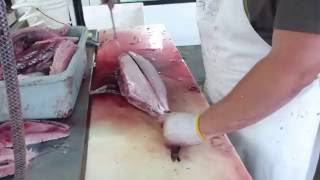 How To Fillet Clean Albacore Tuna in 78 Seconds HD [upl. by Honeywell549]