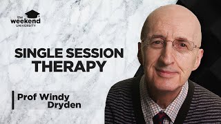 Single Session Therapy – Professor Windy Dryden [upl. by Ellswerth149]